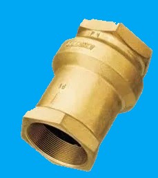 Válvula Retenção Vertical Disco Cônico 2.1/" - RF 202